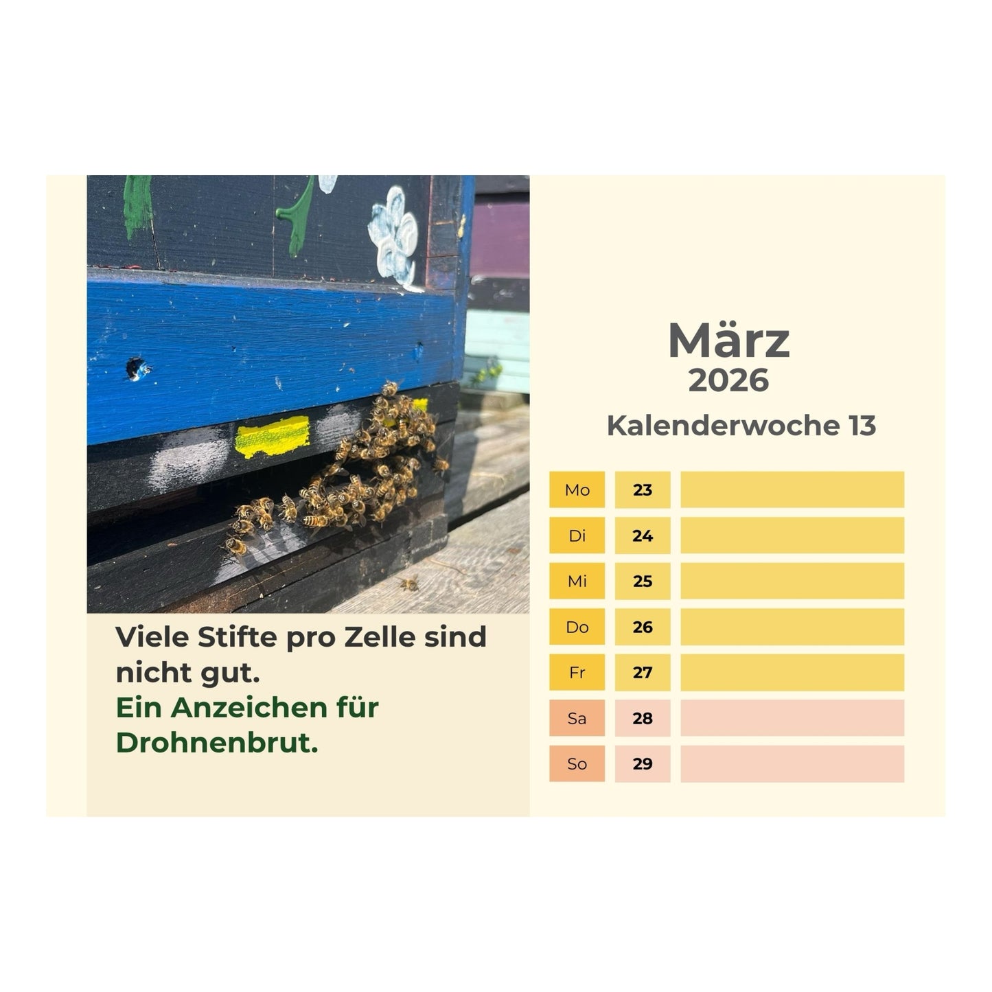 Imker-Wochenkalender 2026