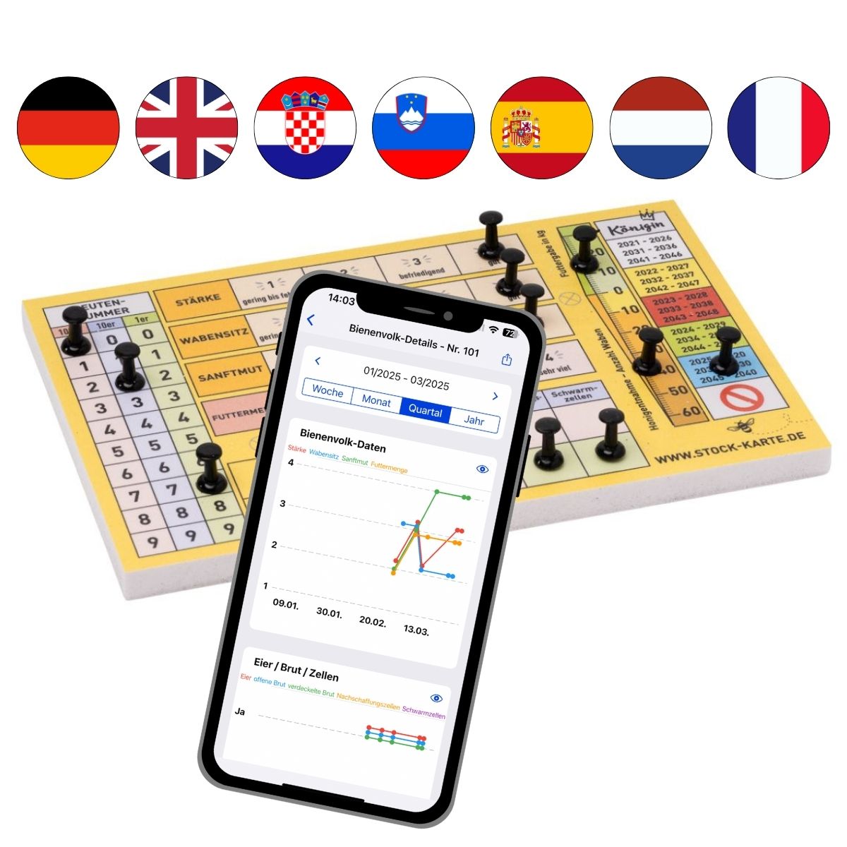 Carte de stock d'épingles (y compris les épingles et les vis)