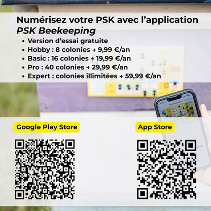 Pin-Stock-Karte (inkl. Pins und Schrauben)