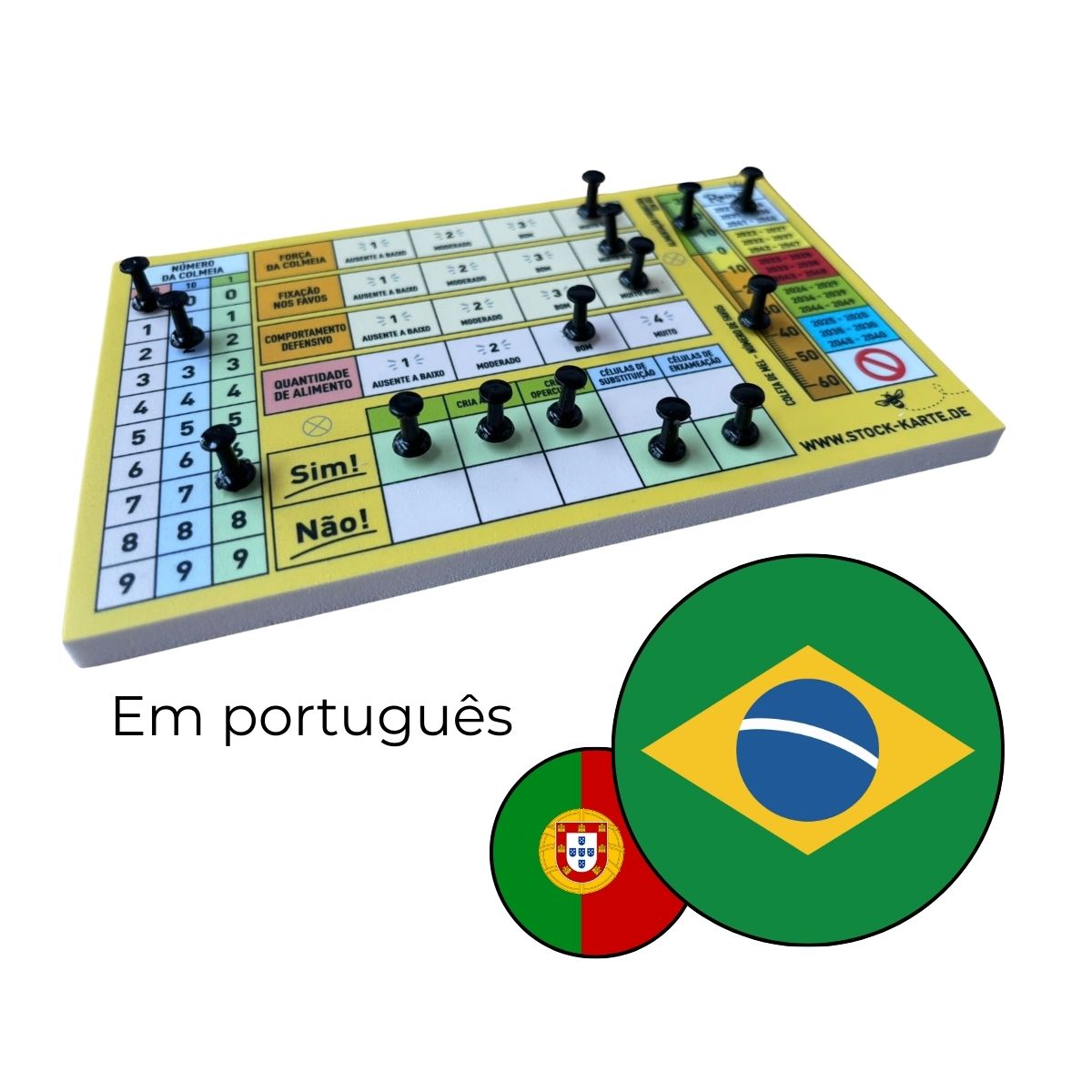 Pin-Stock-Karte (inkl. Pins und Schrauben)